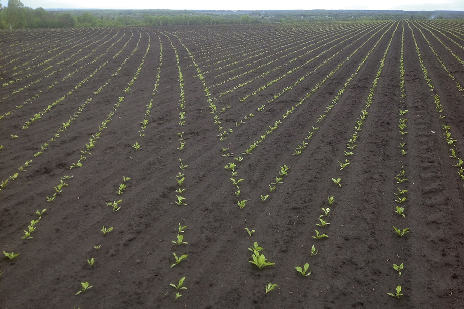 Переключение секций SectionControl при посеве свеклы