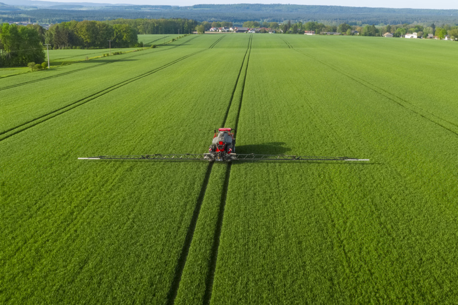 Устанавливает стандарты в уходе за растениями 