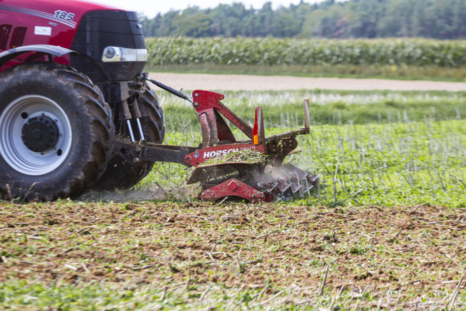 Также идеально подходит для борьбы с падалицей зерновых культур